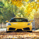 Illustration for article titled Your Ridiculously Awesome Ferrari F430 Wallpaper Is Here